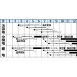 画像2: [ブロッコリー]　シャスター　20ｍｌ　タキイ種苗（株） (2)