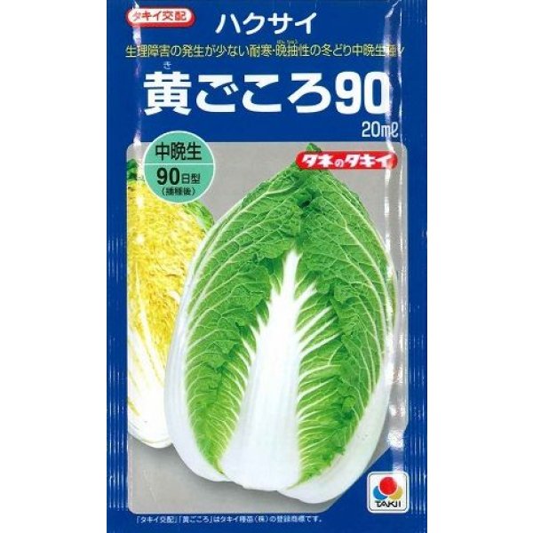 画像1: [白菜] 黄ごころ90 20ml タキイ種苗(株) (1)