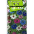 画像1: 花の種　ニゲラ　ペルシャンジュエル　1.5ml 　タキイ種苗 (1)