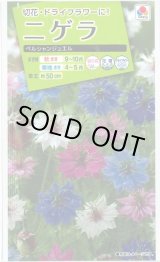 画像: 送料無料　花の種　ニゲラ　ペルシャンジュエル　1.5ml　タキイ種苗（株）NL200