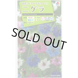 画像: 送料無料　花の種　ニゲラ　ペルシャンジュエル　1.5ml　タキイ種苗（株）NL200
