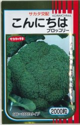 画像: 送料無料　[ブロッコリー]　こんにちは　2000粒　(株)サカタのタネ