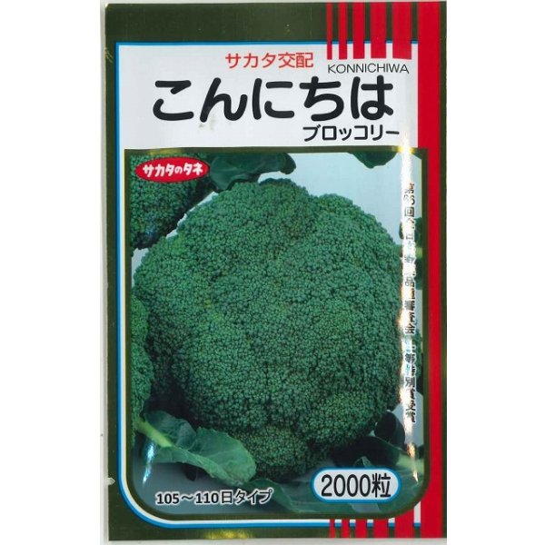 画像1: [ブロッコリー] こんにちは 2000粒 (株)サカタのタネ (1)