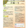 画像3: [そら豆]　打越一寸　1L(およそ220粒)(株)サカタのタネ (3)