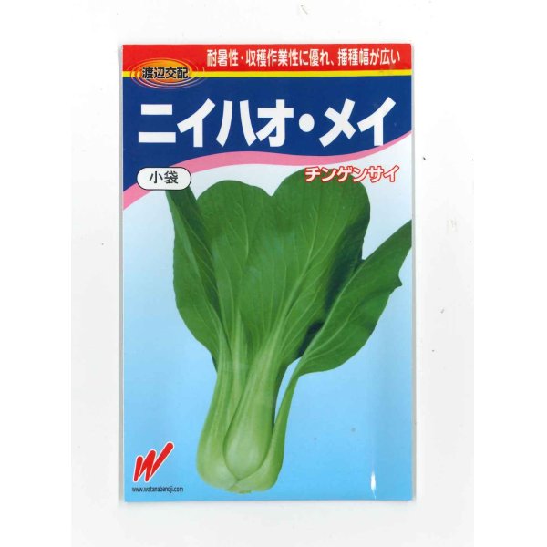 画像1: [中国野菜]　チンゲンサイ　ニイハオ・メイ　600粒　渡辺農事 (1)