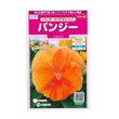 画像1: 花の種　パンジー　パシオ　 クリアオレンジ　約34粒　　サカタのタネ（株） 実咲350(026136) (1)