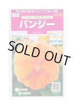 画像: 花の種　パンジー　パシオ　 クリアオレンジ　約34粒　　サカタのタネ（株） 実咲350(026136)