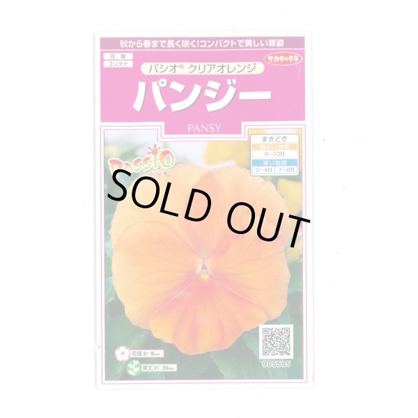 画像1: 花の種　パンジー　パシオ　 クリアオレンジ　約34粒　　サカタのタネ（株） 実咲350(026136) (1)