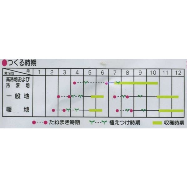 画像2: 送料無料　[カリフラワー]　美星　2000粒　貴種(コートしてません)　(株)サカタのタネ (2)