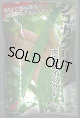 画像: 送料無料　[いんげん]　シュガグリーン　1dl　渡辺農事（株）