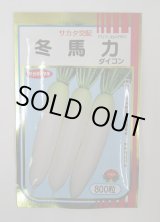 画像: 送料無料　大根　冬馬力　800粒　(株)サカタのタネ