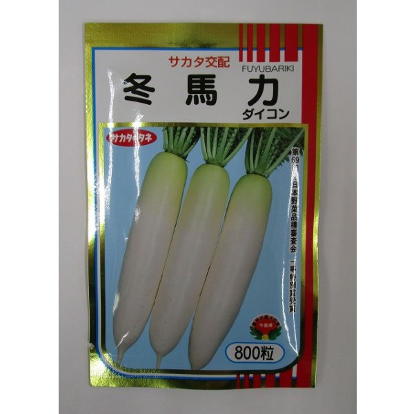 画像1: 送料無料 大根 冬馬力 800粒 (株)サカタのタネ (1)