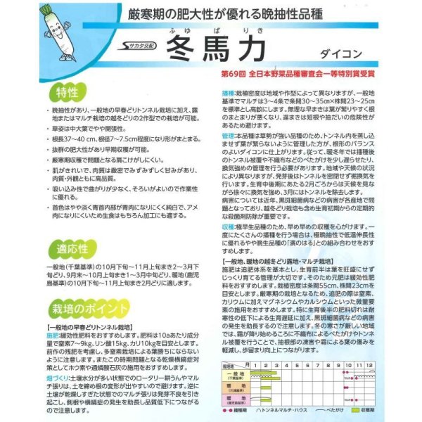画像3: 送料無料 大根 冬馬力 800粒 (株)サカタのタネ (3)