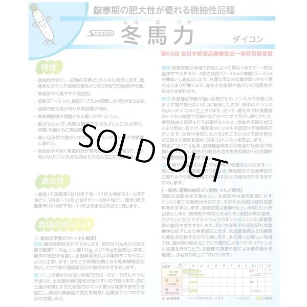 画像3: 送料無料 大根 冬馬力 800粒 (株)サカタのタネ (3)