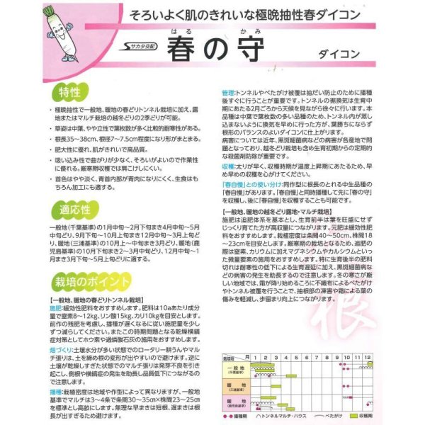 画像4: 送料無料 [大根] 春の守 800粒 (株)サカタのタネ (4)