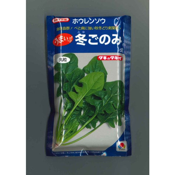 画像1: 送料無料　[ほうれんそう]　冬ごのみ　1dl　タキイ種苗(株) (1)