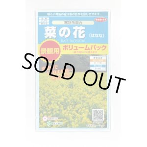 画像: 花の種　　景観用　　菜の花　寒咲系混合　約5平米用　サカタのタネ（株）実咲350