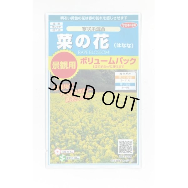 画像1: 花の種　　景観用　　菜の花　寒咲系混合　約5平米用　サカタのタネ（株）実咲350 (1)