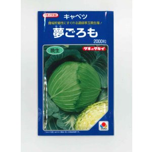 画像: 送料無料　[キャベツ]　夢ごろも　2000粒　タキイ種苗(株)