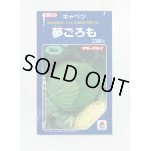 画像: [キャベツ]　夢ごろも　2000粒　タキイ種苗（株）