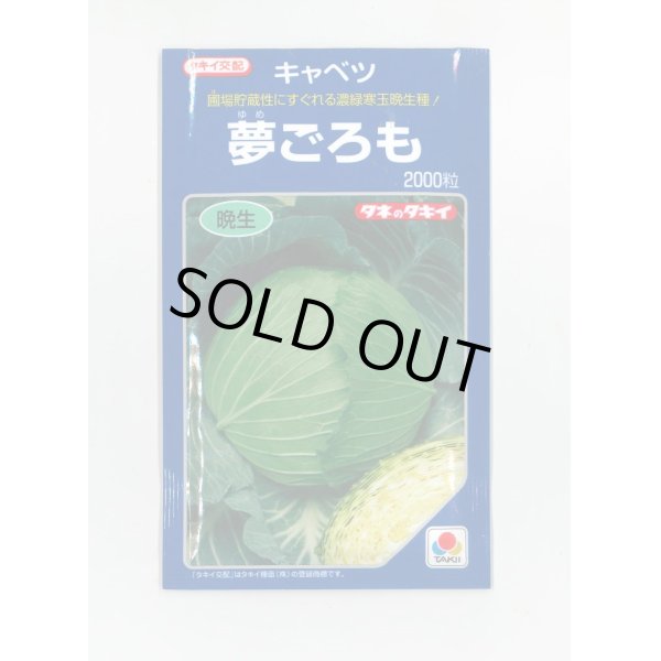 画像1: [キャベツ]　夢ごろも　2000粒　タキイ種苗（株） (1)