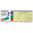 画像2: [たまねぎ]　ジェットスター　　1.5g　ナント種苗（株） (2)