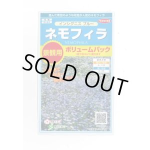 画像: 花の種 　景観用　   ネモフィラ　インシグニスブルー　約３平米用　　サカタのタネ（株）実咲350