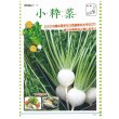 画像3: 送料無料　[かぶ]　小粋菜　3ml　タキイ種苗(株) (3)
