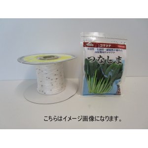 画像: [シーダー種子]　小松菜　つなしま　1粒×5cm間隔