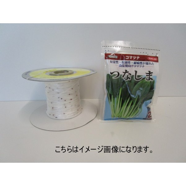 画像1: [シーダー種子]　小松菜　つなしま　1粒×5cm間隔 (1)