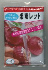 画像: 送料無料　[たまねぎ]　湘南レッド　1dl　(株)サカタのタネ