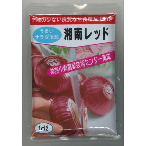 画像1: 送料無料 [たまねぎ] 湘南レッド 1dl (株)サカタのタネ (1)