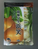 画像: 送料無料　[たまねぎ]　超極早生　浜笑（PVP）　2dl　カネコ種苗（株）