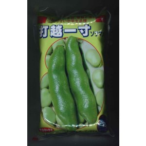 画像: [そら豆]　打越一寸　1L(およそ220粒)(株)サカタのタネ