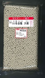 画像: 大根 冬自慢 ペレット種子5000粒 (株)サカタのタネ