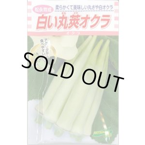 画像: 送料無料　[オクラ]　白い丸莢オクラ　70粒　松永種苗(株)