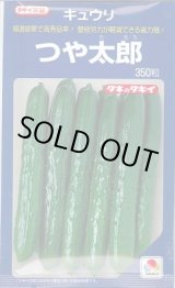 画像: [キュウリ] つや太郎 350粒 タキイ種苗(株)