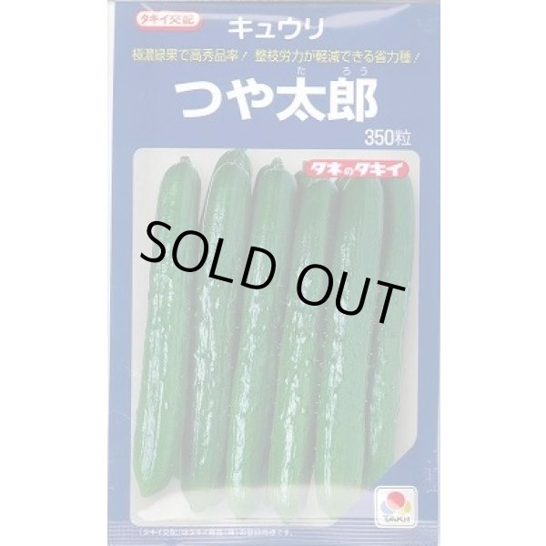 画像1: [キュウリ] つや太郎 350粒 タキイ種苗(株) (1)