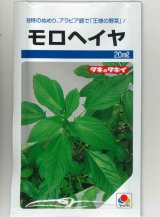 画像: 送料無料　[葉物]　モロヘイヤ　20ml　タキイ種苗(株)