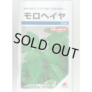 画像: モロヘイヤ 20ml タキイ種苗(株)
