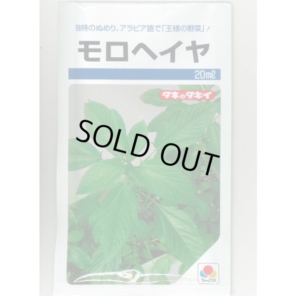 画像1: モロヘイヤ 20ml タキイ種苗(株) (1)
