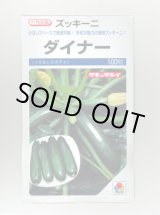 画像: 送料無料　[ズッキーニ]　ダイナー　100粒　タキイ種苗(株)