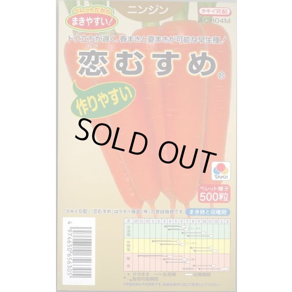 画像1: 送料無料 [人参] 恋むすめ 500粒 タキイ種苗(株) (1)