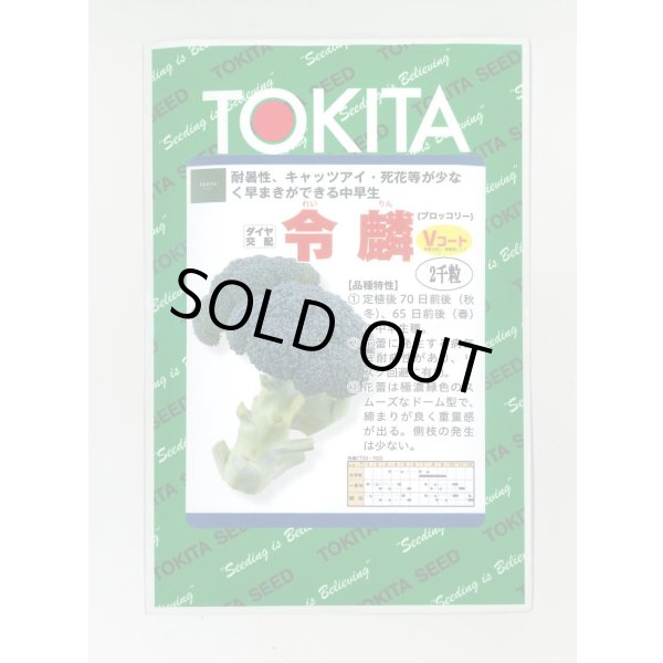 画像1: 送料無料　ブロッコリー　令麟　2000粒　トキタ種苗(株) (1)