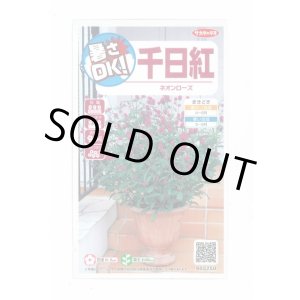 画像: 送料無料　花の種　千日紅　ネオンローズ　約50粒　(株)サカタのタネ　実咲350（026117）