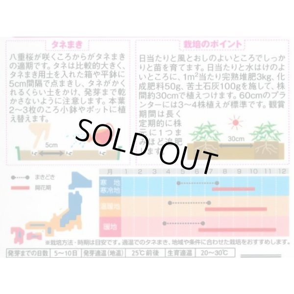 画像2: 花の種 ジニア プロフュージョンミックス 約15粒 (株)サカタのタネ 実咲350(026153) (2)