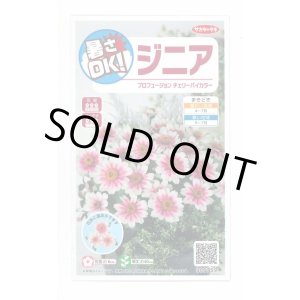 画像: 送料無料　花の種　ジニア　プロフュージョン　チェリーバイカラー　約10粒　(株)サカタのタネ　実咲250（026281）