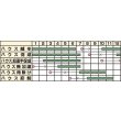 画像2: 送料無料　[トマト/ミニトマト]　オレンジパルチェ　1000粒　カネコ交配 (2)