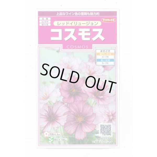 画像1: 花の種 コスモス レッドイリュージョン 約29粒 (株)サカタのタネ 実咲350(026110) (1)