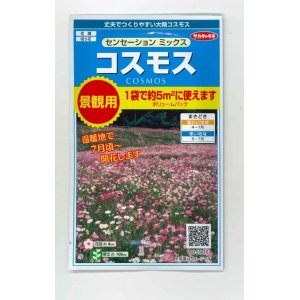 画像: 花の種　景観用コスモス　センセーションミックス　  サカタのタネ（株）　実咲350